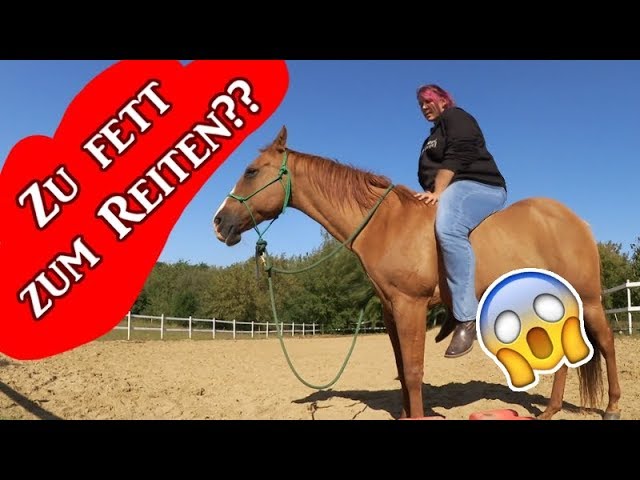 Pferd Reiter Gewicht