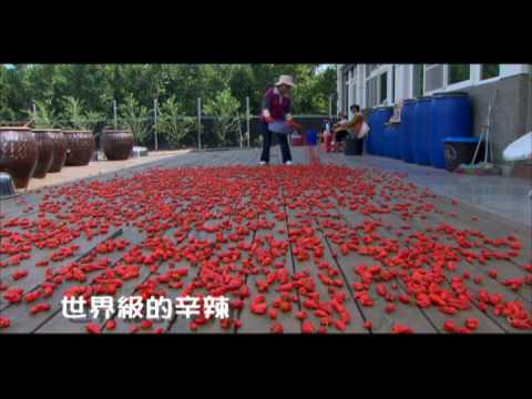 公共電視--發現南台灣 #5預告搶先看!