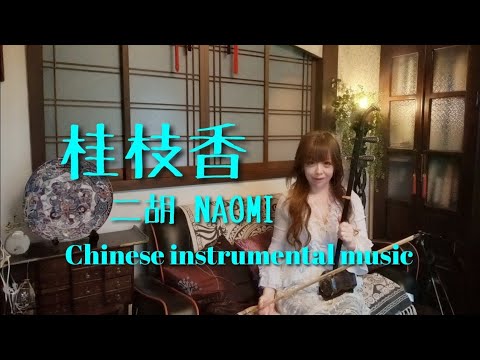 桂枝香 自得琴社 二胡】NAOMI - YouTube