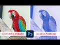 Convertir imagen a color Pantone - Adobe Photoshop