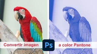 Convertir imagen a color Pantone - Adobe Photoshop