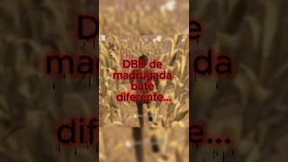 DBD de madrugada é algo... #dbd #deadbydaylight #dbdfunnymoments #dbdmemes