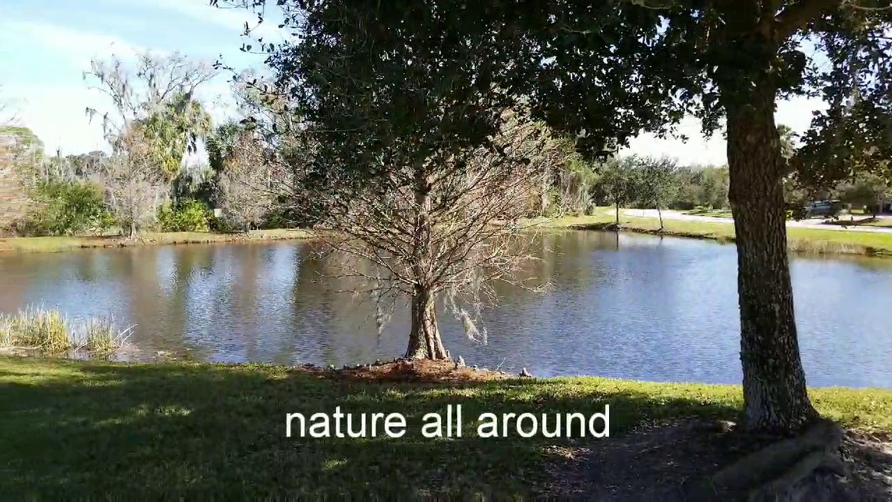 5615 65th Ter E Ellenton FL Oakleaf Hammock- David Price