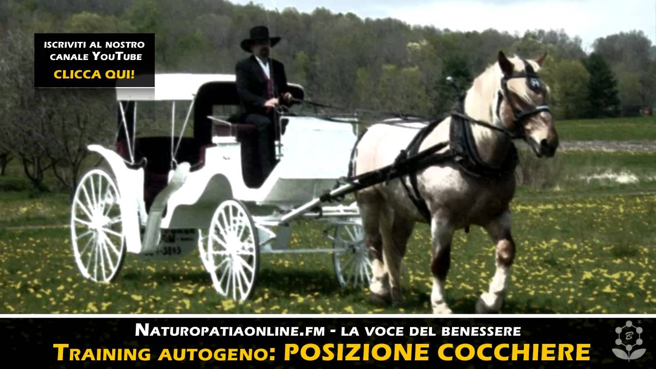 I Viaggi Del Cocchiere Programma 2022