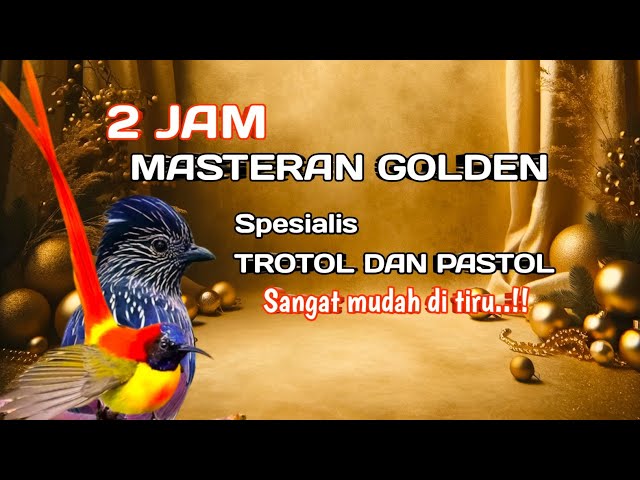 2 jam masteran super mewah golden melody mudah di tiru sepesialis TROTOL DAN PASTOL class=