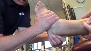 Loose Body Manipulation Talocrural Joint (RC)
