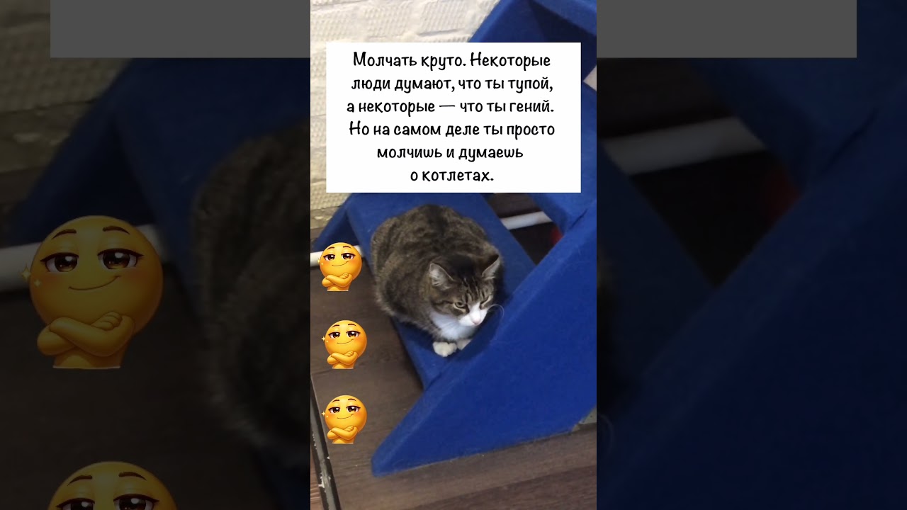 Молчать круто😹😹😹 