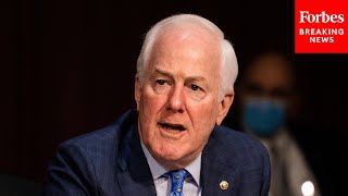 'Why Is It That Wee Feel The Need To Regulate AI': John Cornyn Warns Against Government Overreach