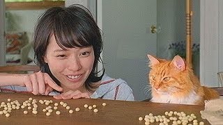 いいなCM　サントリー　金麦　糖質75％off　戸田恵梨香 「糖質70％off」篇