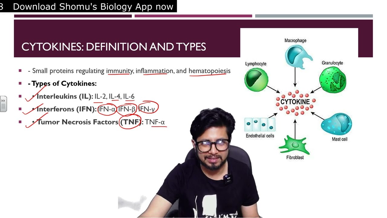 Cytokines and their role in immune regulation | interleukins and chemokines functions