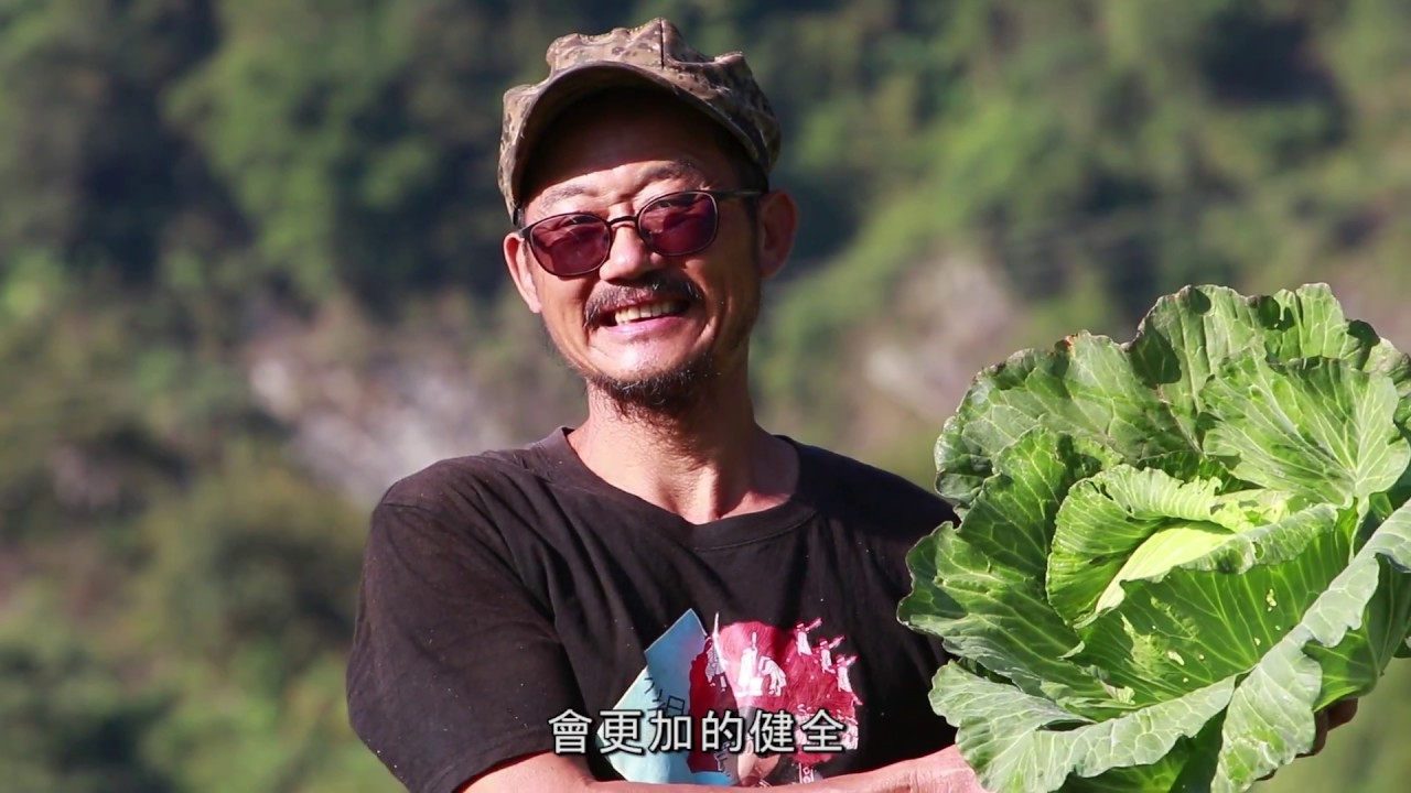 西寶農場的綠保之路 Youtube