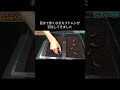 1年間放置していた目まで赤くなるカブトムシが羽化してきました 4K HIGH FR30