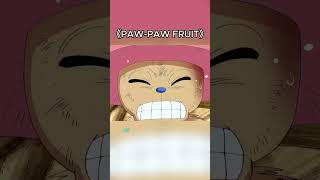 The Devil Fruit That Can Send You Anywhereonepiecedevilfruitpawpawfruitkuma