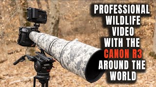 Professional Wildlife Video with Canon R3 - Sample Footage by Harry Collins Photography 646 views 3 months ago 3 minutes, 38 seconds