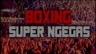 DJ BOXING MEDAN VIRAL 2024 BASS BUTON🥊