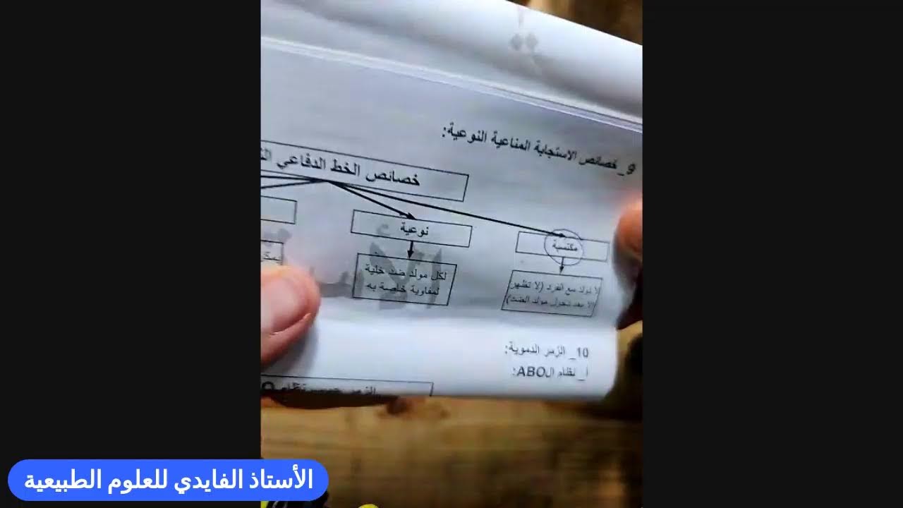 مراجعة شاملة للبيام