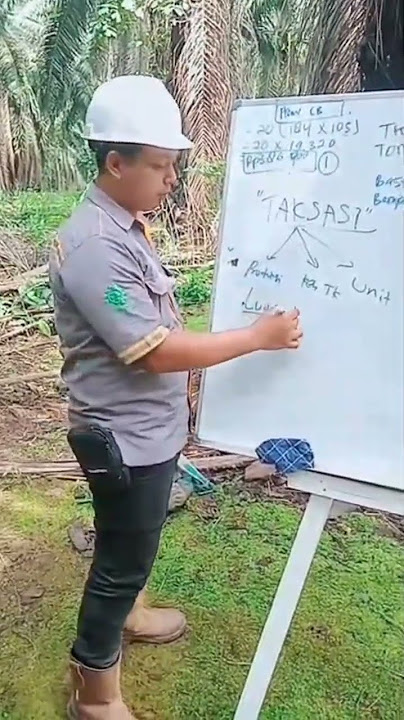 Menghitung Estimasi Produksi Kelapa sawit