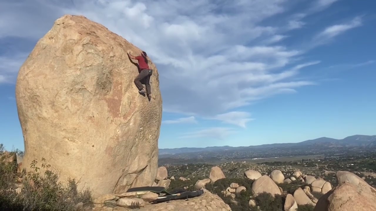 A Clamshell in the Cabinet!