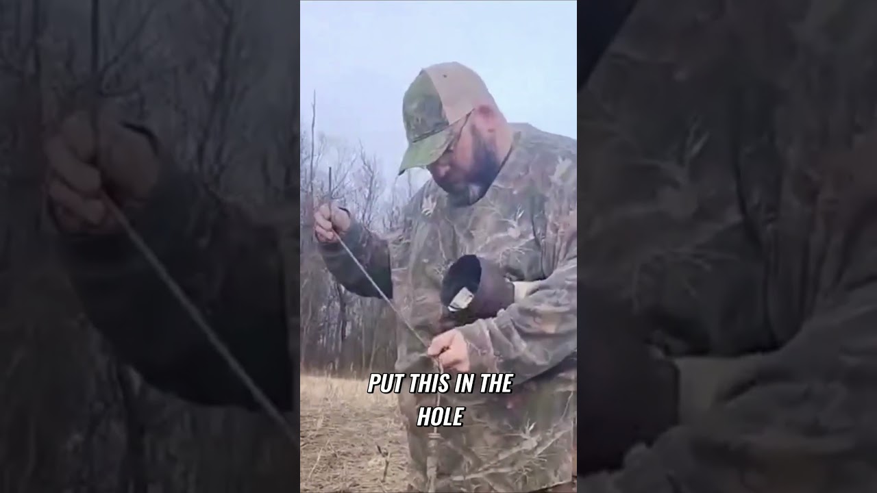 Crows and Owls! Effective Methods Using Owl Decoys 