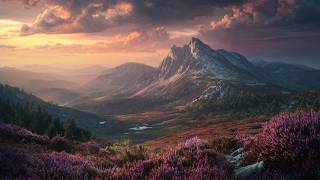 Beyond The Heathered Horizon