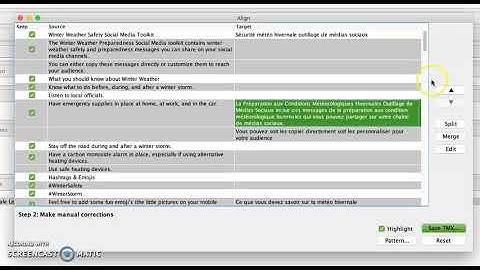 Using OmegaT Alignment: Editing Columns