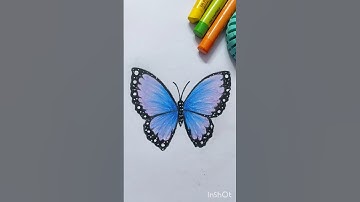 How to draw a butterfly easy | Butterfly drawing #art #viral #trending #drawing #shorts