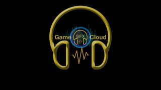 FM Fly