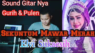 Sekuntum Mawar Merah - Elvi Sukaesih - Cover Gitar Instrument