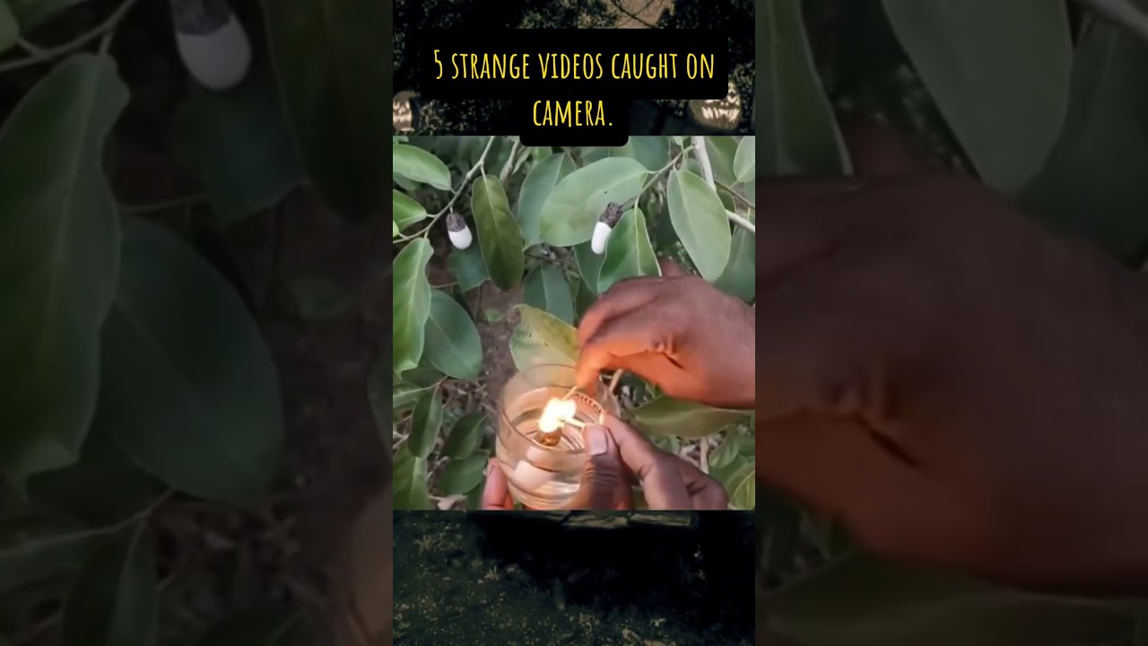 Need explanation!! 😨😨 