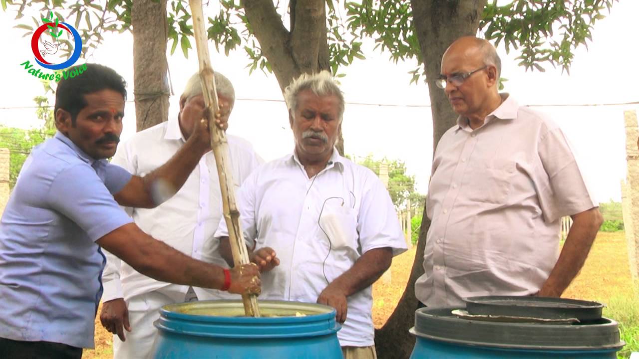 natural-farming-prepartion-of-jeevamrutha-subhash-palekar-youtube
