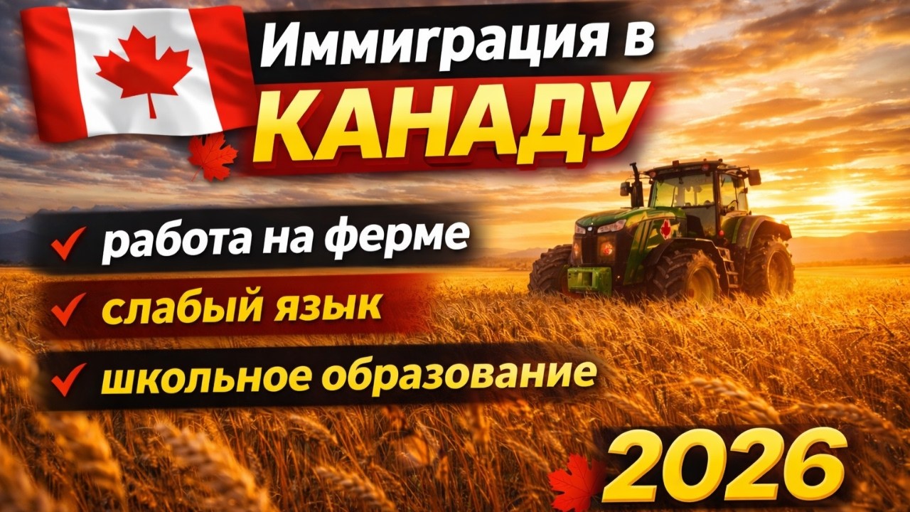 Слабый английский (CLB 4) и средняя школа: как уехать в Канаду через SINP?