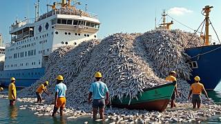 MONSTER HAUL: Modern Trawler’s Intense Mackerel Catch Out At Deep Sea!