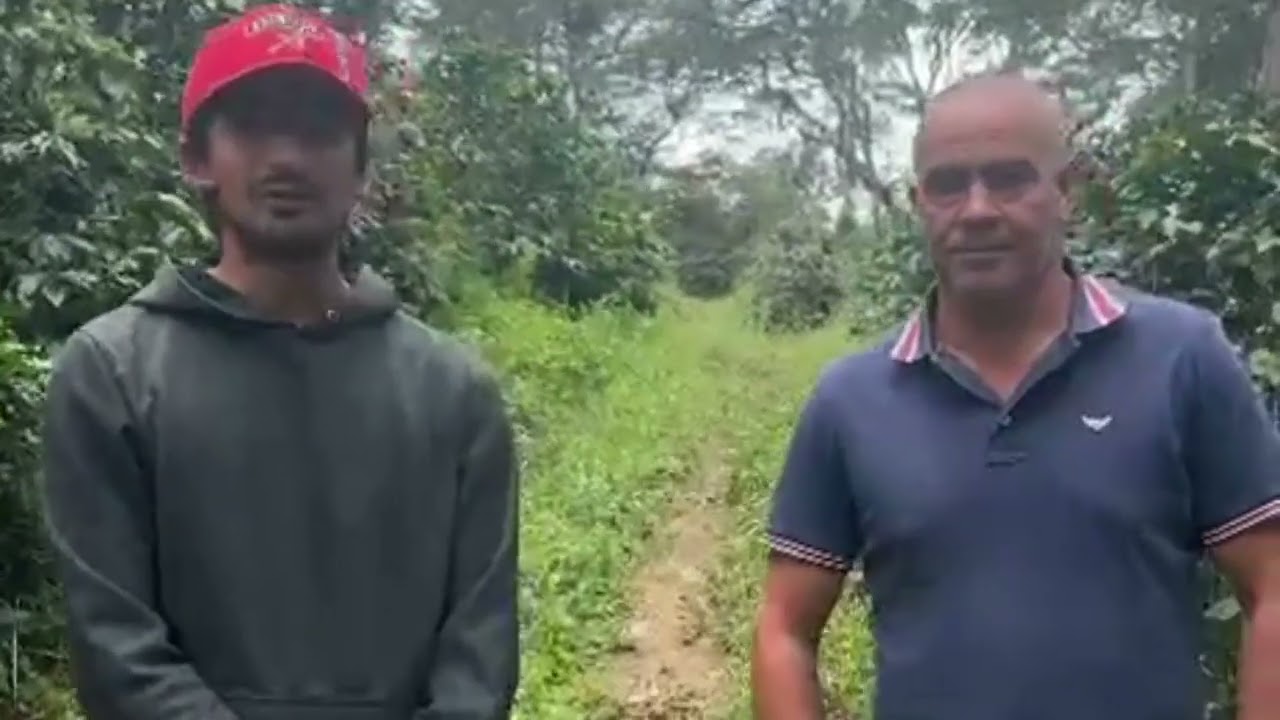 Fertilizacion en Cafe