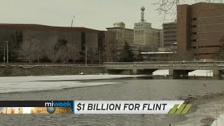 Flint Water Developments | MiWeek Clip