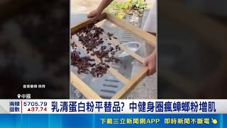 蛋白粉大漲價！中國業者推蟑螂粉搶健身財 專家示警胺基酸不足難替代｜消失的國界