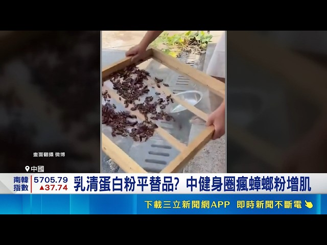 蛋白粉大漲價！中國業者推蟑螂粉搶健身財 專家示警胺基酸不足難替代｜消失的國界