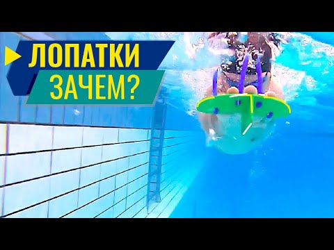 ЗАЧЕМ ПЛАВАТЬ В ЛОПАТКАХ?