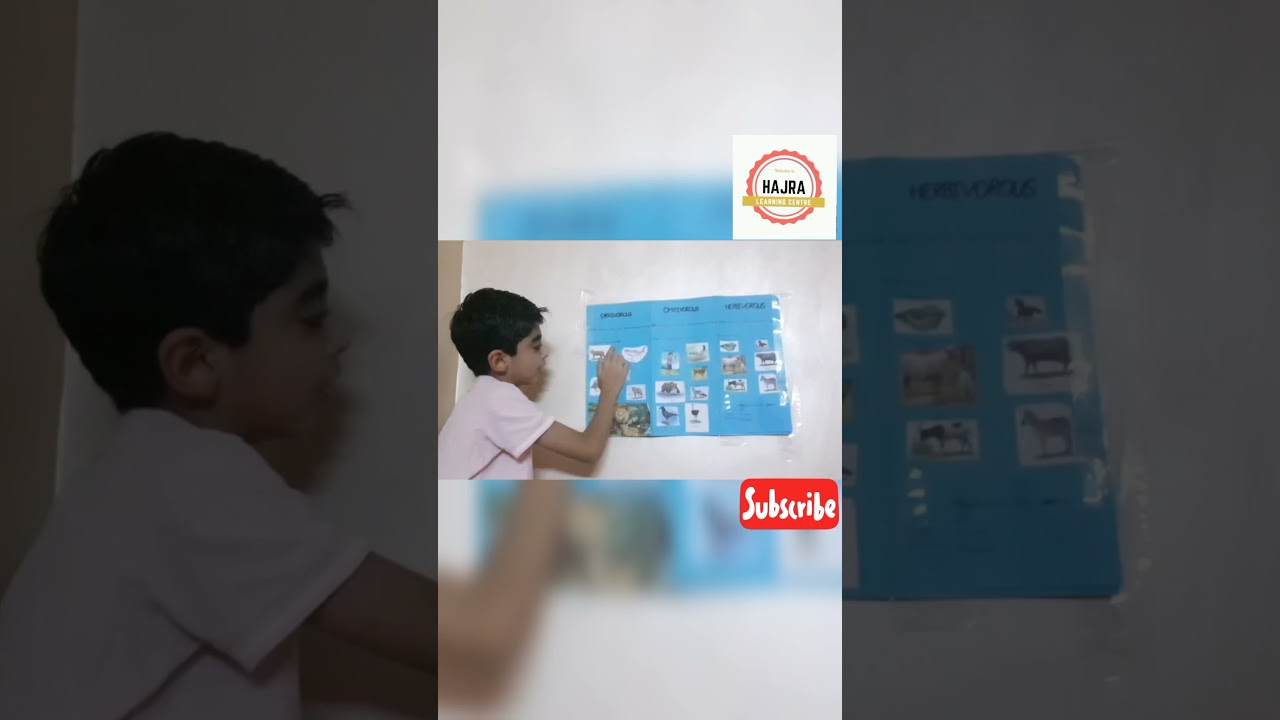 Carnivores,Omnivores and herbivores animals 