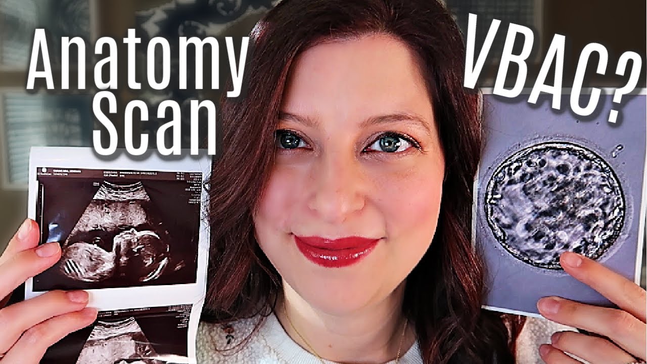 IUGR Again? Echocardiogram Results | 2nd Trimester Pregnancy Update  | IVF | High Risk