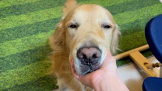 手術することになりました