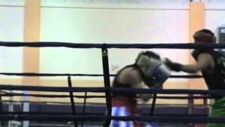 Homer Vs Cuban Boxer Homer In Green