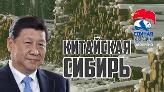 Китайцы в Сибири живут на широкую ногу | Прекрасная Россия