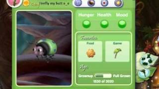 Pixie hollow glitch