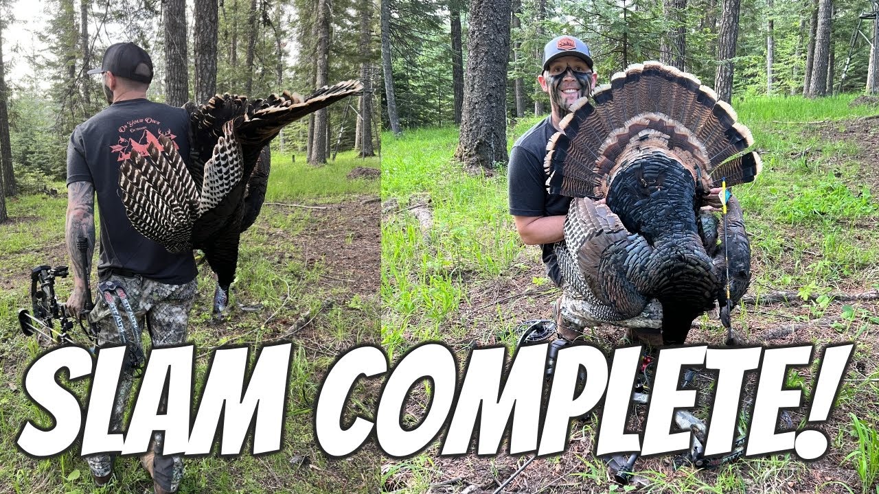 Idaho Turkey hunting//bow hunting//Grand Slam//Merriam Turkey// YouTube