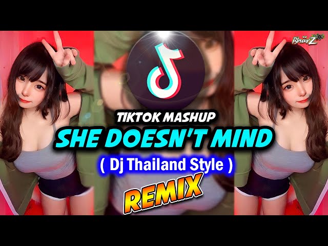 She Doesn't Mind - TikTok Mashup Remix (Dj Thailand Style) Dj Bharz -  LYRICS class=