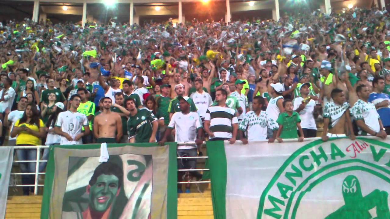 Somos a Mancha Verde a mais temida - [LEGENDADO] Canto da Torcida do  Palmeiras 