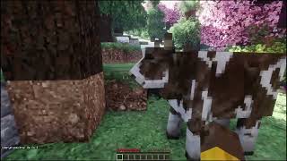 How To Fix Enable Connected Textures In Minecraft Patrix 32X