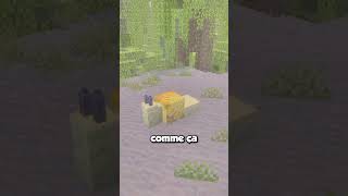 Ce BUILD HACK est trop MIGNON sur MINECRAFT ! 😍