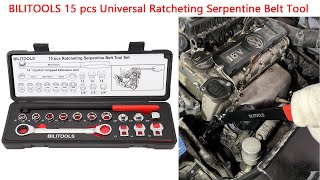 15-Piece Universal Ratcheting Serpentine Belt Tool Set
