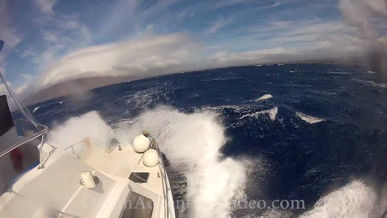 Boat in Rough Seas and Gale Force Winds - YouTube